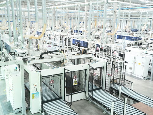 凤观齐鲁2025 智造领航，链通世界——鲁丽集团以新质生产力锻造全球竞争力